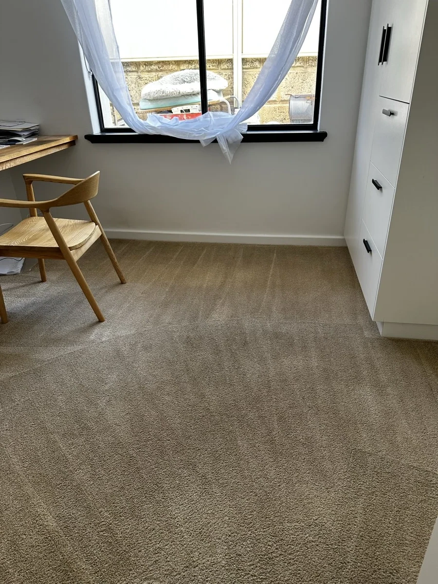 Fresh carpet after professional steam cleaning Perth