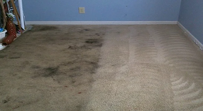 Clean dining area Perth general cleaning service
